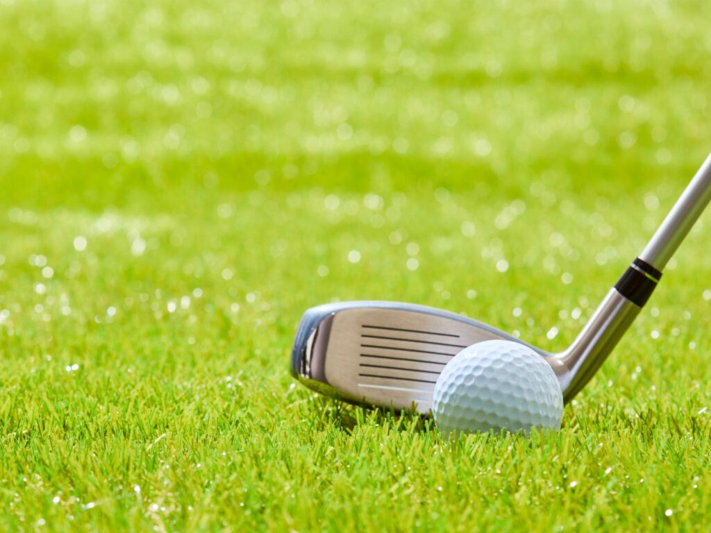 ゴルフをしている画像