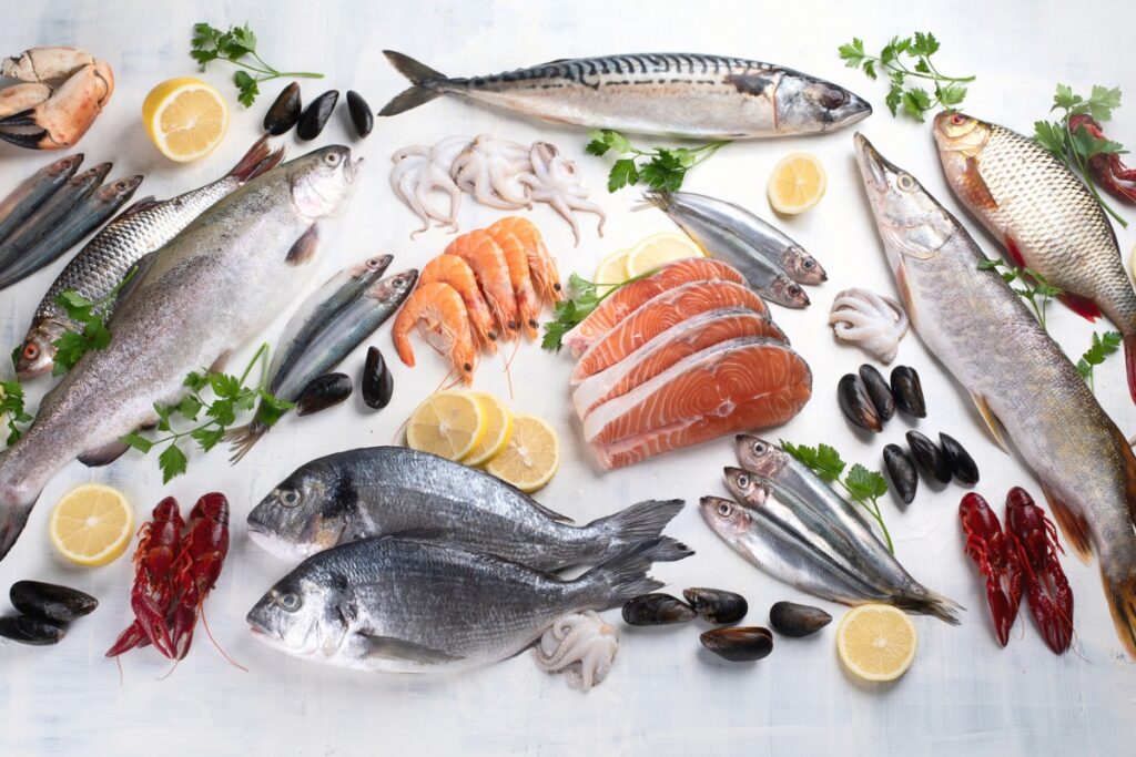 魚を摂る重要性の説明画像